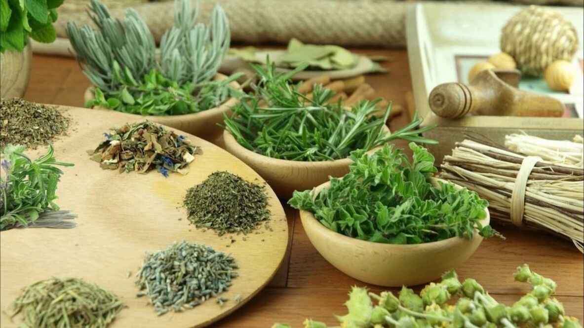 Herbs to remove parasites from the body