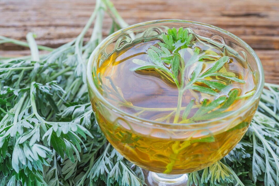 Wormwood decoction against parasites