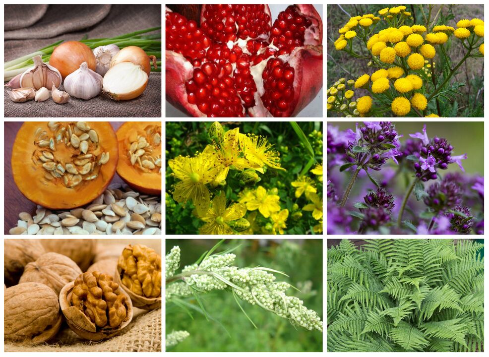 Herbs against parasites