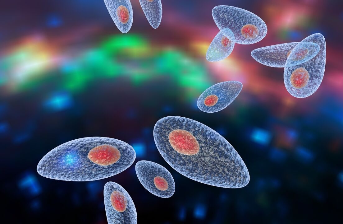 Toxoplasmosis pathogens in the body
